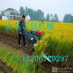 手推式小型收割機(jī) 水稻小麥高效收割的創(chuàng)新之選