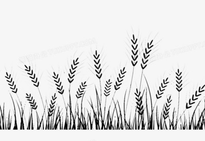 優(yōu)質(zhì)水稻PNG素材 免費下載與創(chuàng)意應用指南