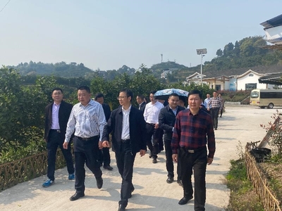 瀘州市委統(tǒng)戰(zhàn)部赴合江縣調(diào)研涉臺產(chǎn)業(yè)發(fā)展，聚焦稻谷產(chǎn)業(yè)合作與鄉(xiāng)村振興